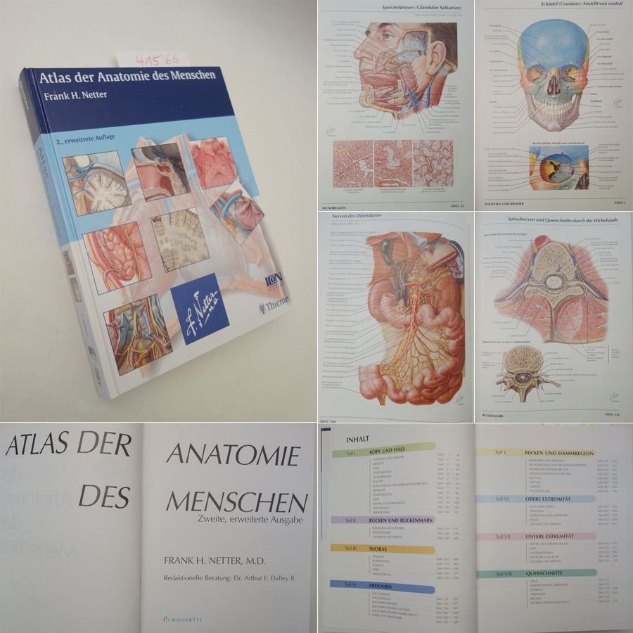 Frank H. Netter Atlas der 2024 Anatomie des Menschen